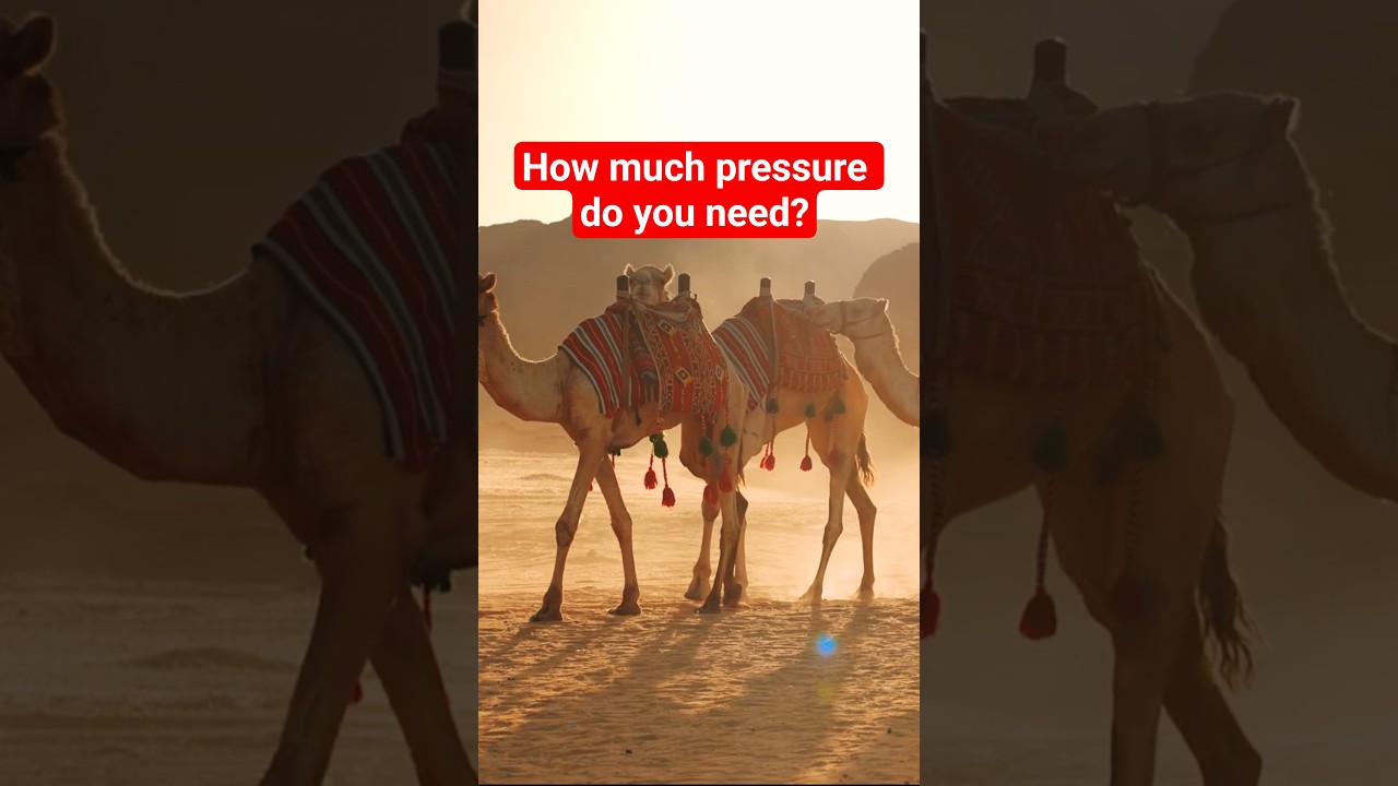 Passing a Camel through the eye of a needle