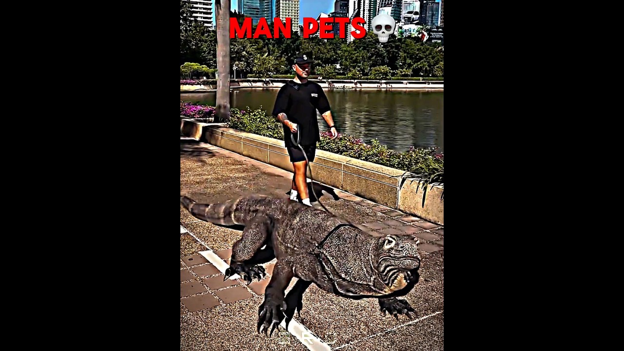 Girl Pets vs Boy Pets ☠️ | #edit #sigma #trollface #usa #newyork