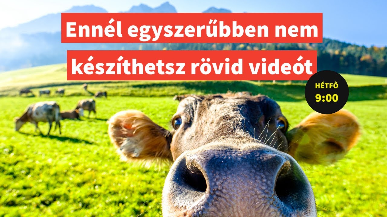 Ennél egyszerűbben nem készíthetsz rövid videót