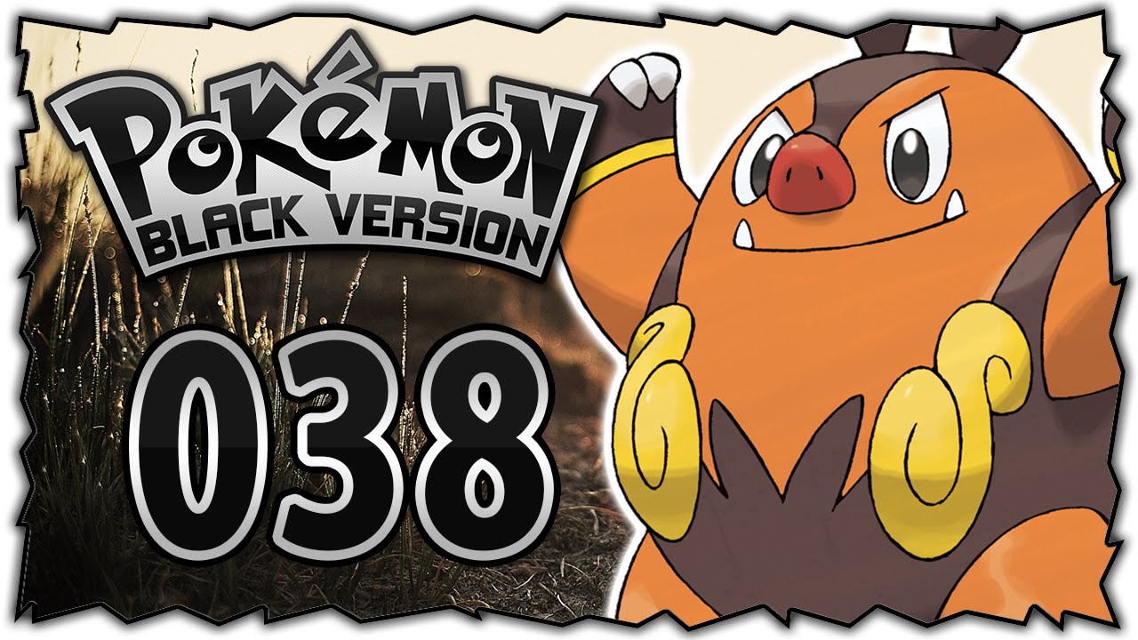 Dem TODE nahe... | Pokémon Schwarz 
