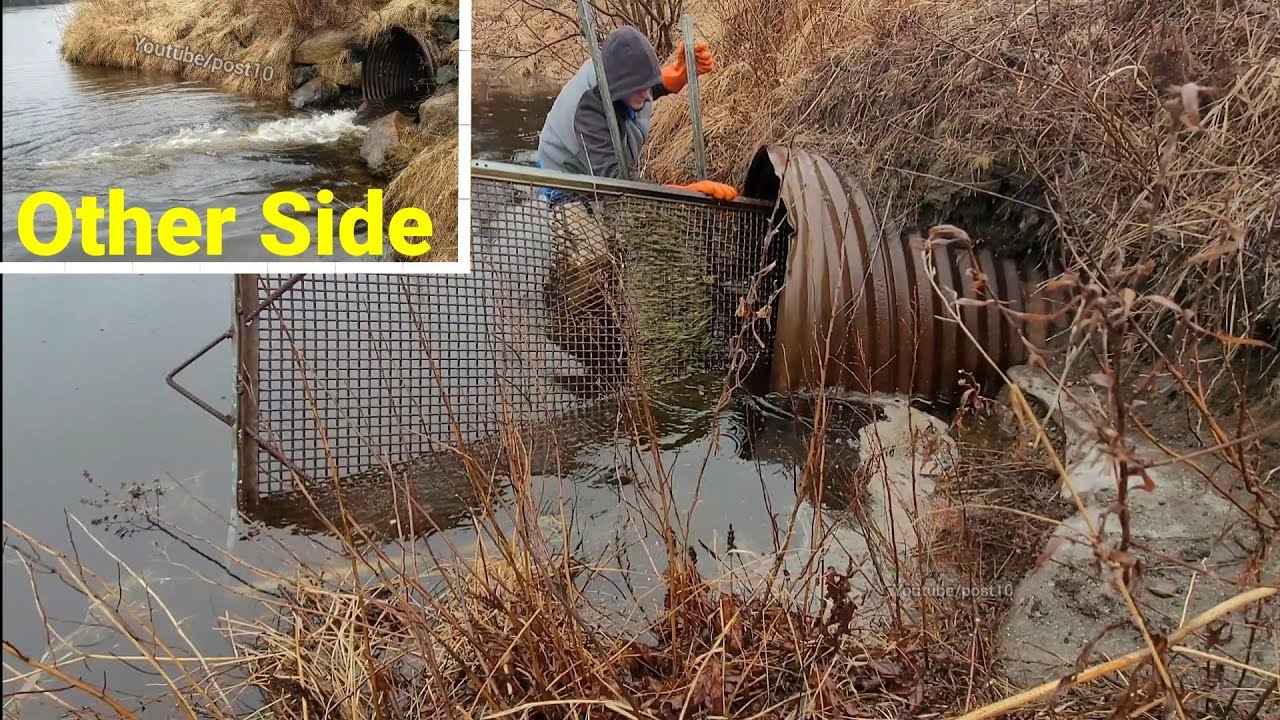 Unclogging A Large Beaver Rack