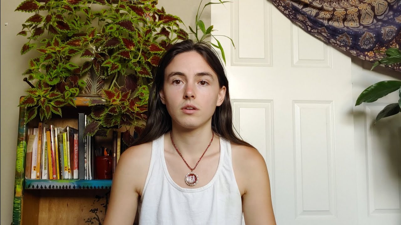Detransitioning