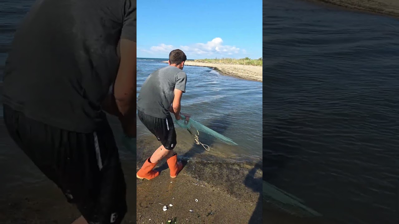 #denizde serpme ile.kefal avı #horse mullet fishing in sea #pesca maritimo