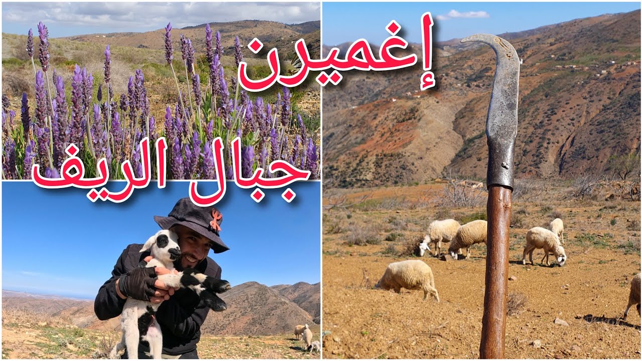 دوار إغميرَن في أعالي جبال الريف ighmiren_Tamassint_Alhoceima