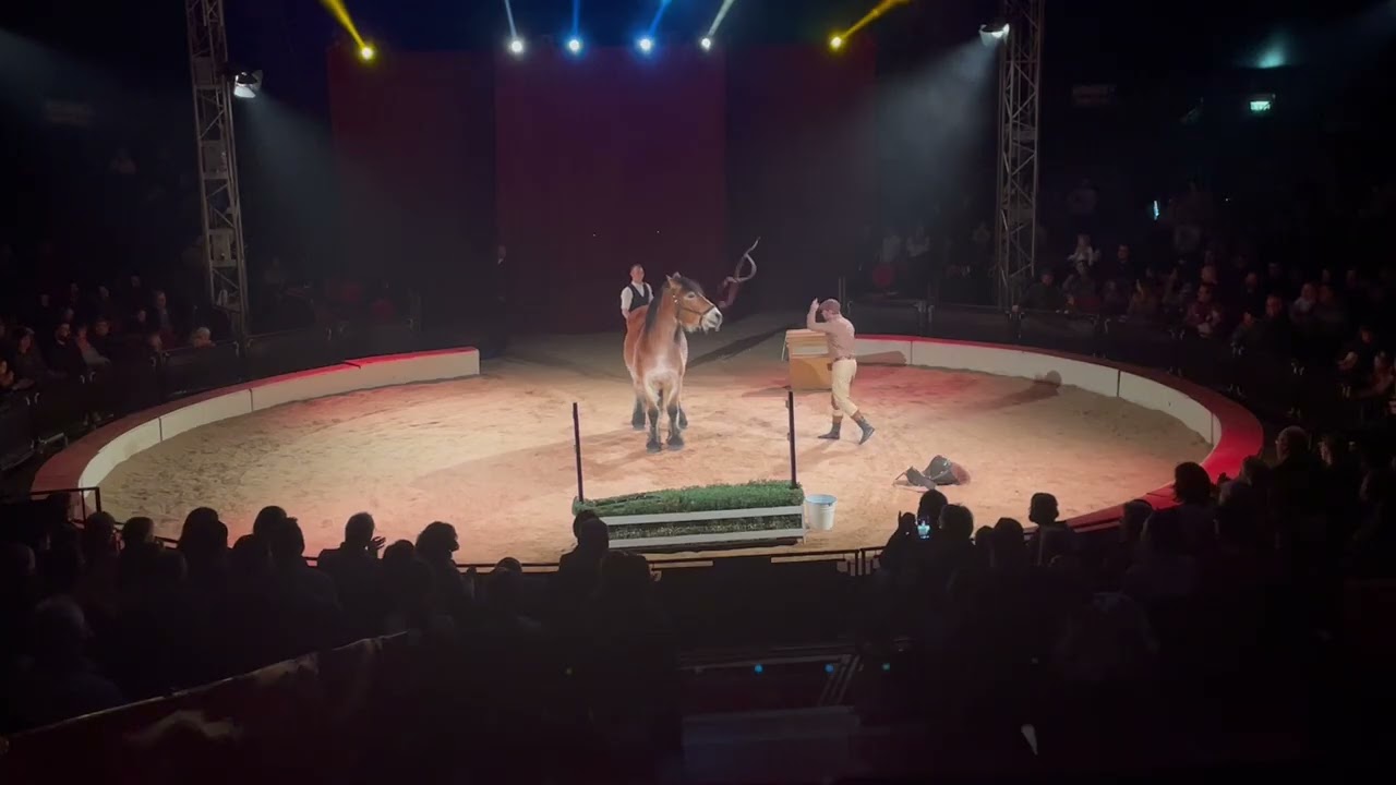 Spindler-Family Comedy Horse Act/ Trierer Weihnachtscircus 2025/26