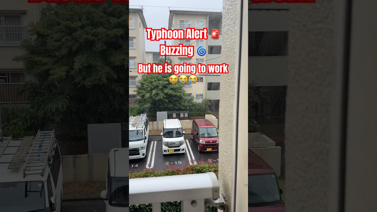 Typhoon Alert 🚨 Buzzing but he is going to work &hellip; 😭😭 | Typhoon Advisory ‼️ #typhoon #japanlife
