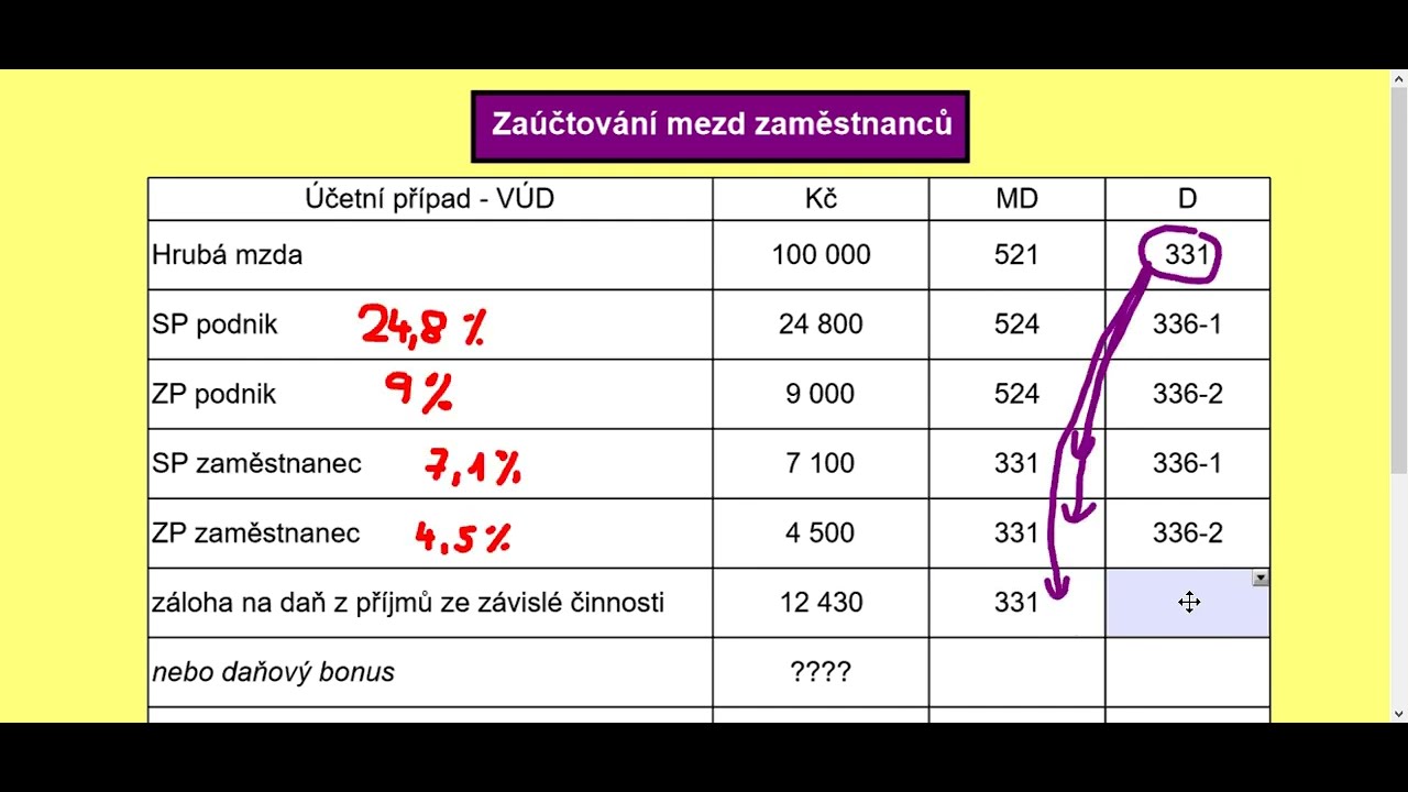 Zaúčtování mezd zaměstnanců a společníků