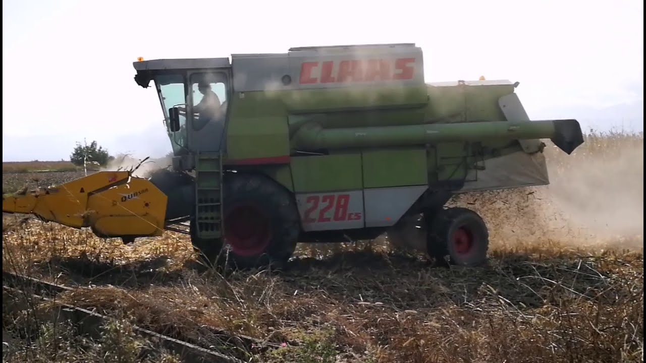 Claas Commandor 228 cs corn harvest