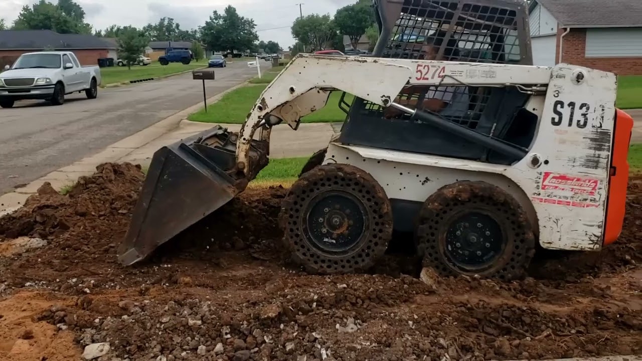 A Day With Bobcat