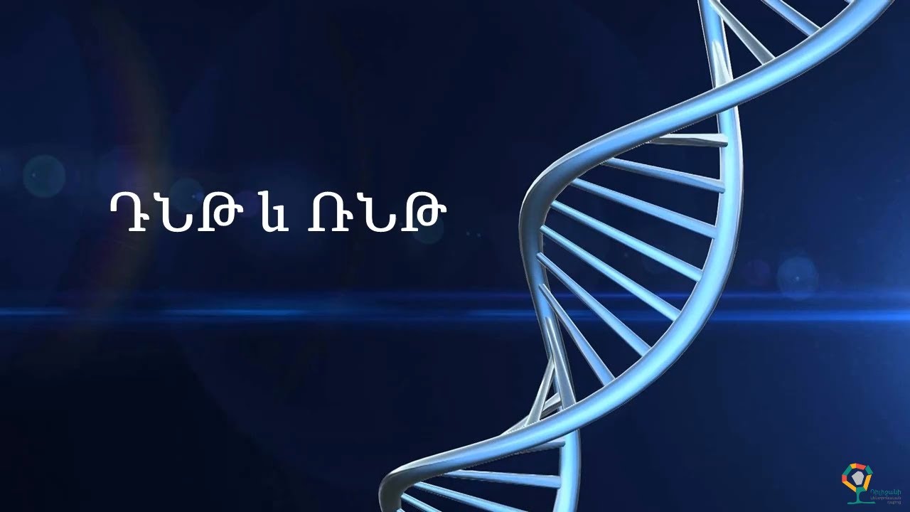 Նուկլեինաթթուներ