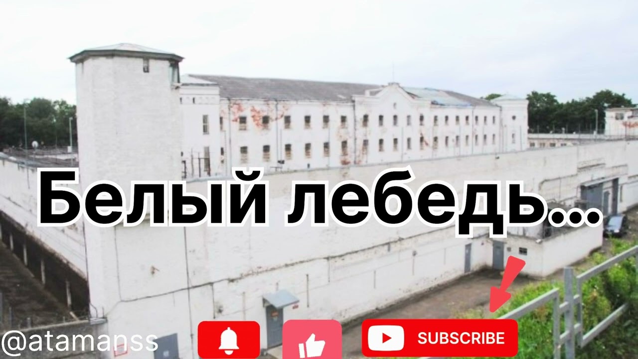 Песня ,, Белый лебедь…’’ - это навсегда.