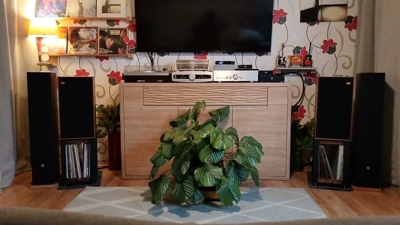Yaqin MS90B .Wharfedale Linton 85. DAC Topping E70 Velvet. Streamer Cambridge Audio MXN10.