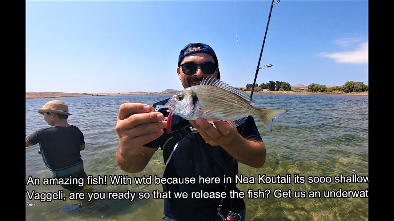 LRF : ΤΣΙΠΟΥΡΕΣ & MOΥΡΜΟΥΡΙΑ με Micro-Wtd  - English Subtitles