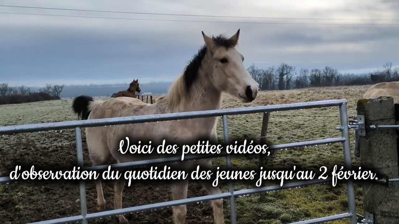 Un changement pour Haludaria partie 1