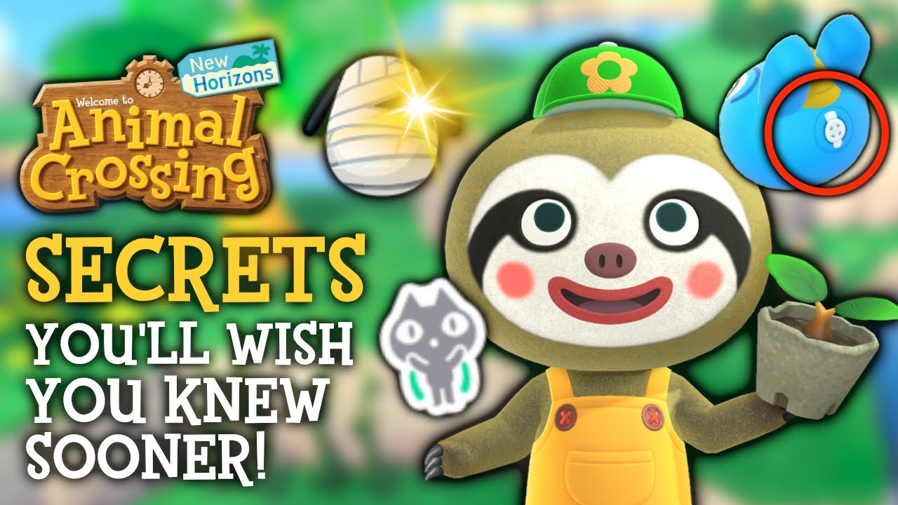 Secrets You&rsquo;ll WISH You Knew Sooner in Animal Crossing New Horizons