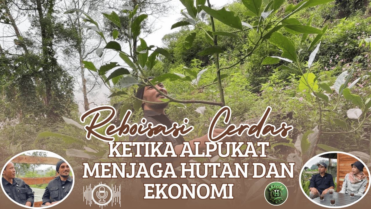Reboisasi Hutan dengan Tanaman Alpukat Bernilai Ekonomi | Kelompok Tani Anugrah Desa Pagerejo