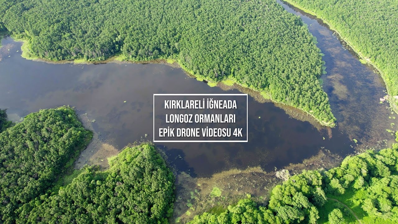 Kırklareli İğneada Longoz Ormanları Epik Drone Videosu  / Longoz Forests Epic Drone Footage 4K