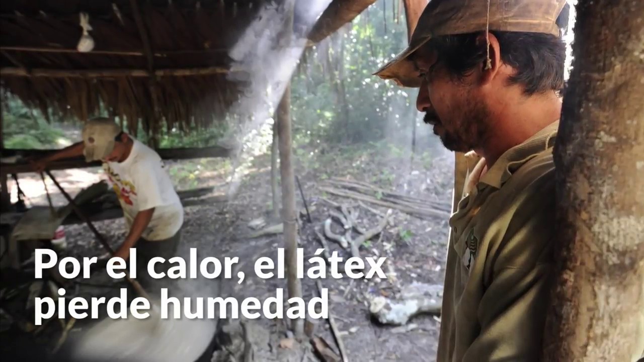 Chicza: el chicle 100% mexicano, org&aacute;nico y sustentable, que se obtiene del &aacute;rbol chicozapote
