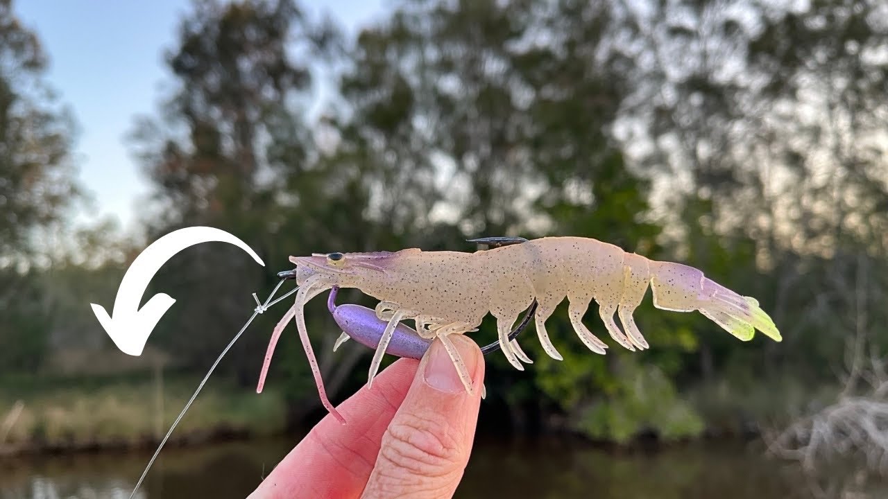 Chaisebait Flick Prawn - Is It A MUST Have?