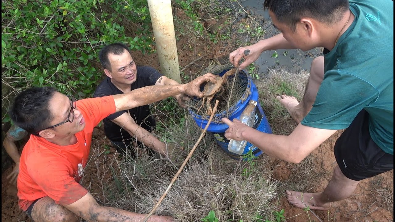 广州网友直呼：想穷都难！一连挖到11只大青蟹，全程笑到爆了