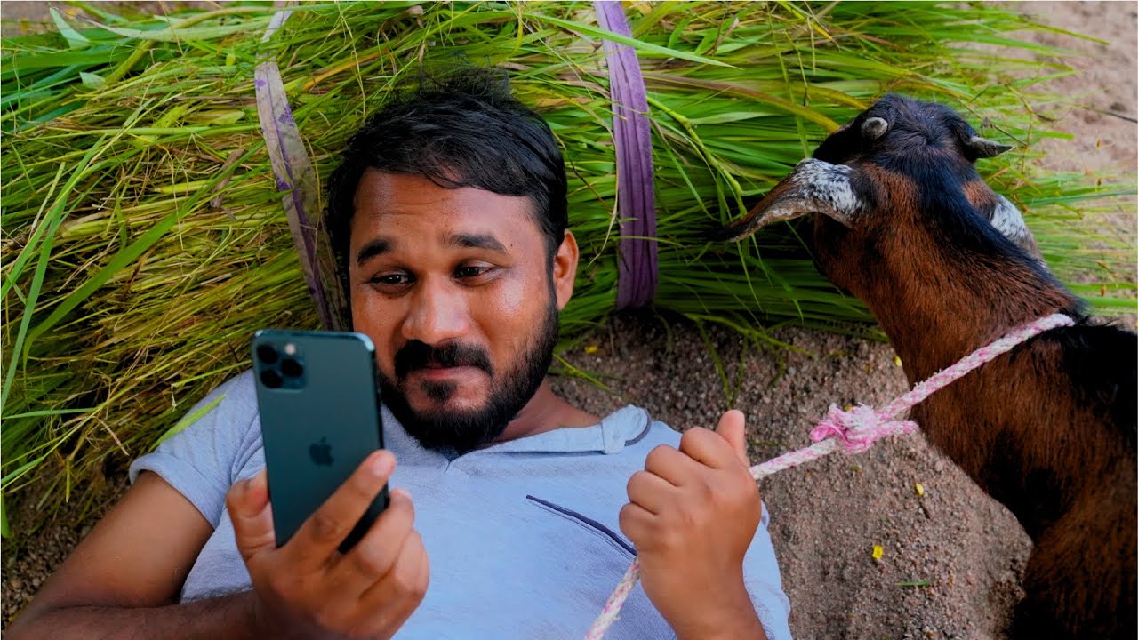 నా లవర్ సిరి | Lover Siri | My Village Show Comedy