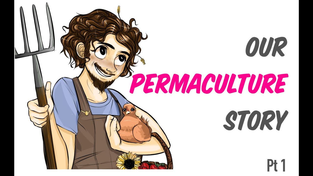 Our 1st Permaculture Garden and Food Forest Story pt 1 | The Permaculture Student Online