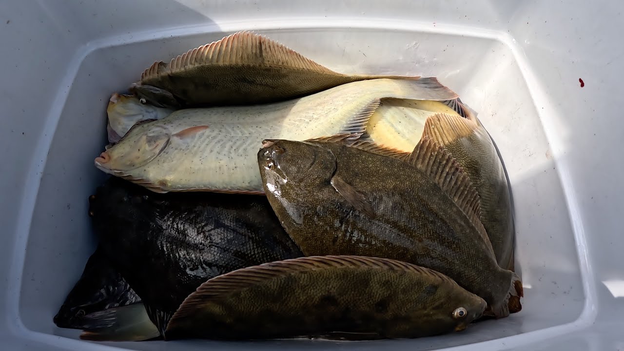 Yellow Belly Flounder Catch & Cook | Smoked Mullet