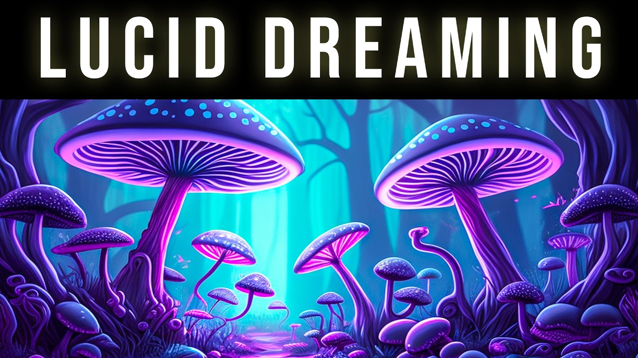 Enter REM Sleep Cycle & Lucid Dream Tonight | Lucid Dreaming Black Screen Hypnosis For Vivid Dreams