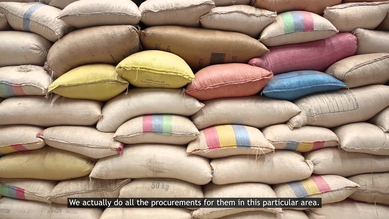 USAID Helps Launch Powerful New System for Farmers in Malawi, Mozambique, and Zambia