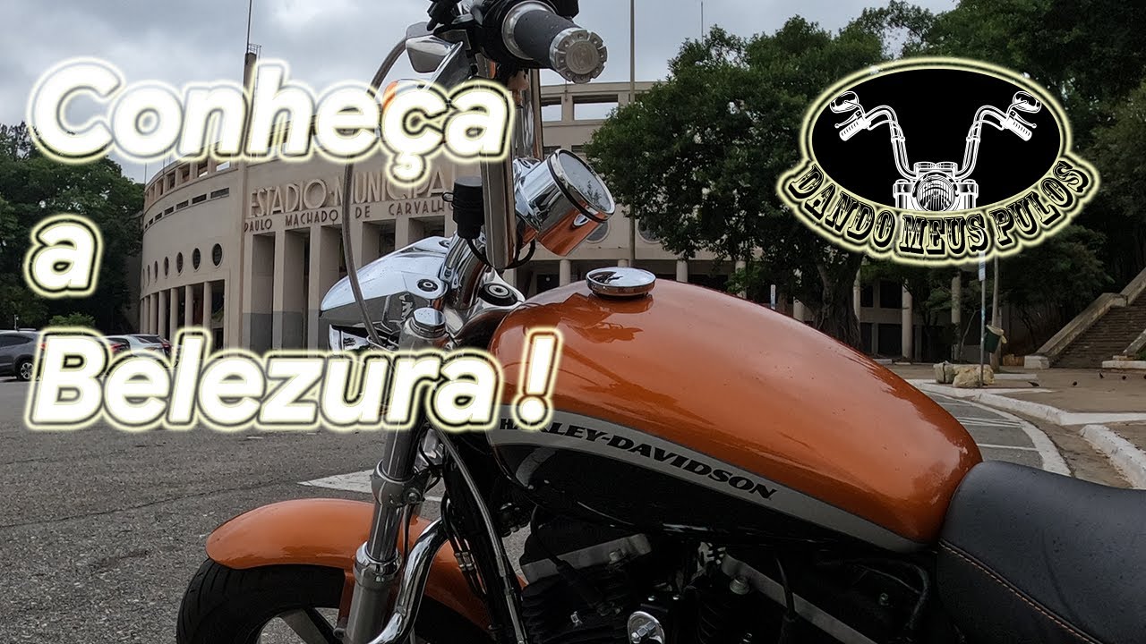 Conhecendo a Belezura, Harley Davidson Sportster XL 1200 Custom CA