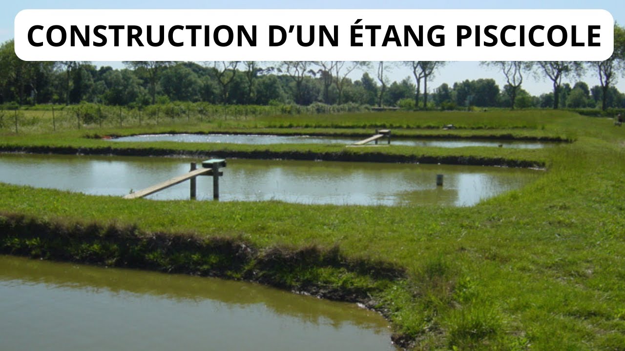 Construction d'un Etang Piscicole