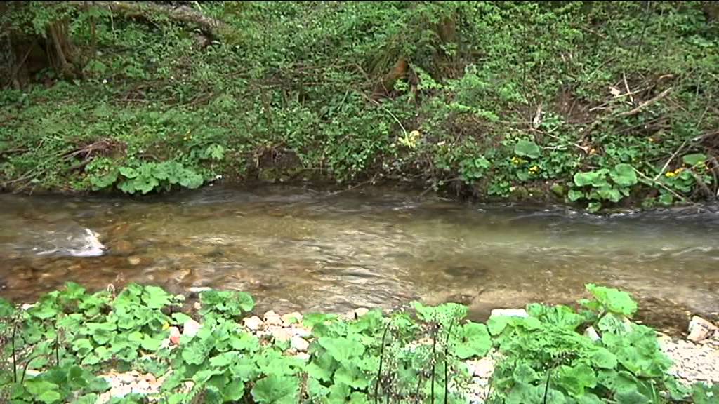 Prilog Žumberak- potok Bregana