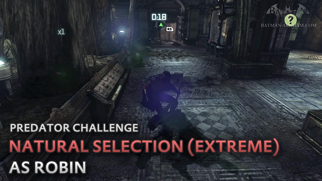 Batman: Arkham City - Natural Selection (Extreme) [as Robin] - Predator Challenge