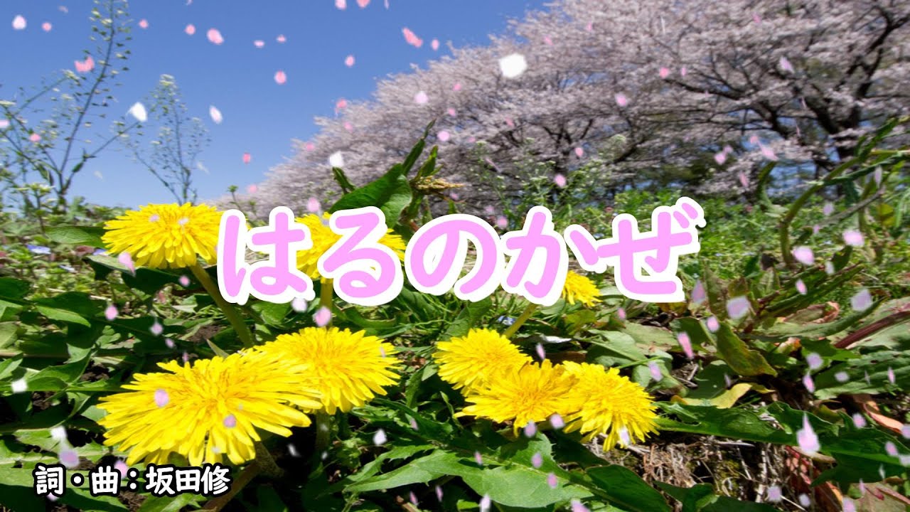 はるのかぜ（おかあさんといっしょ）／坂田おさむ