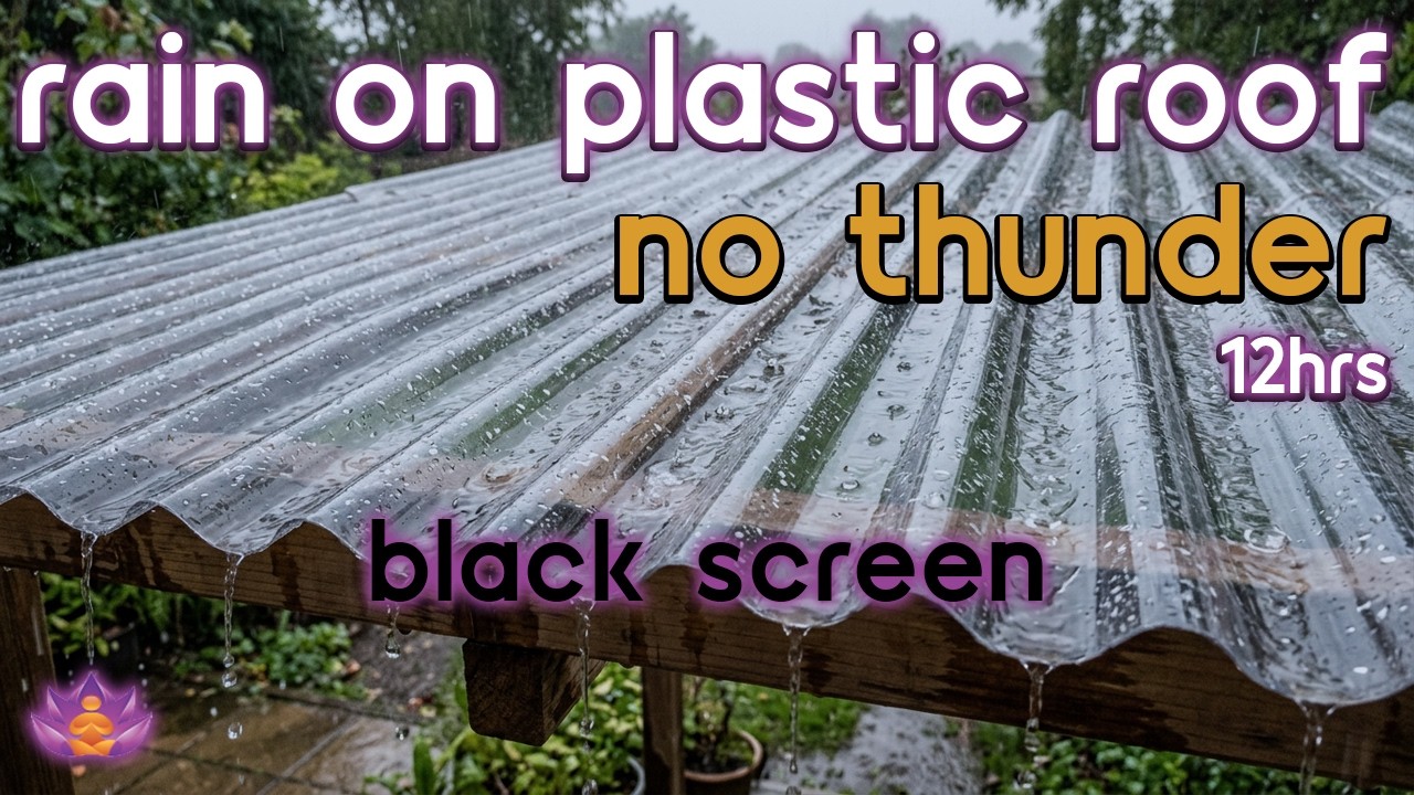 [Black Screen] Resting Under Roof | Rain on Plastic Roof &ndash; No Thunder | Sleep Rain Sounds