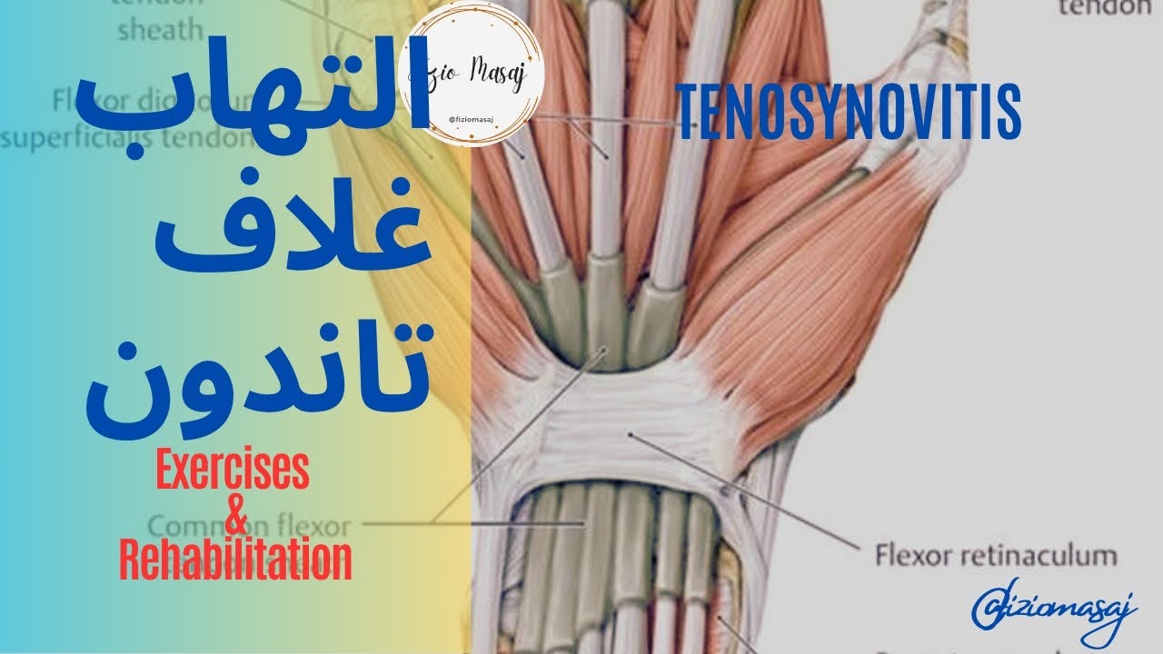 تمرین درمانی برای عضلات کف دست و رفع التهاب غلاف تاندون یا تنوسینویت (@fiziomasaj)