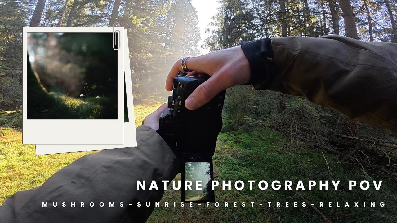 Relaxing Nature Photography POV - with the Sony A7 IV
