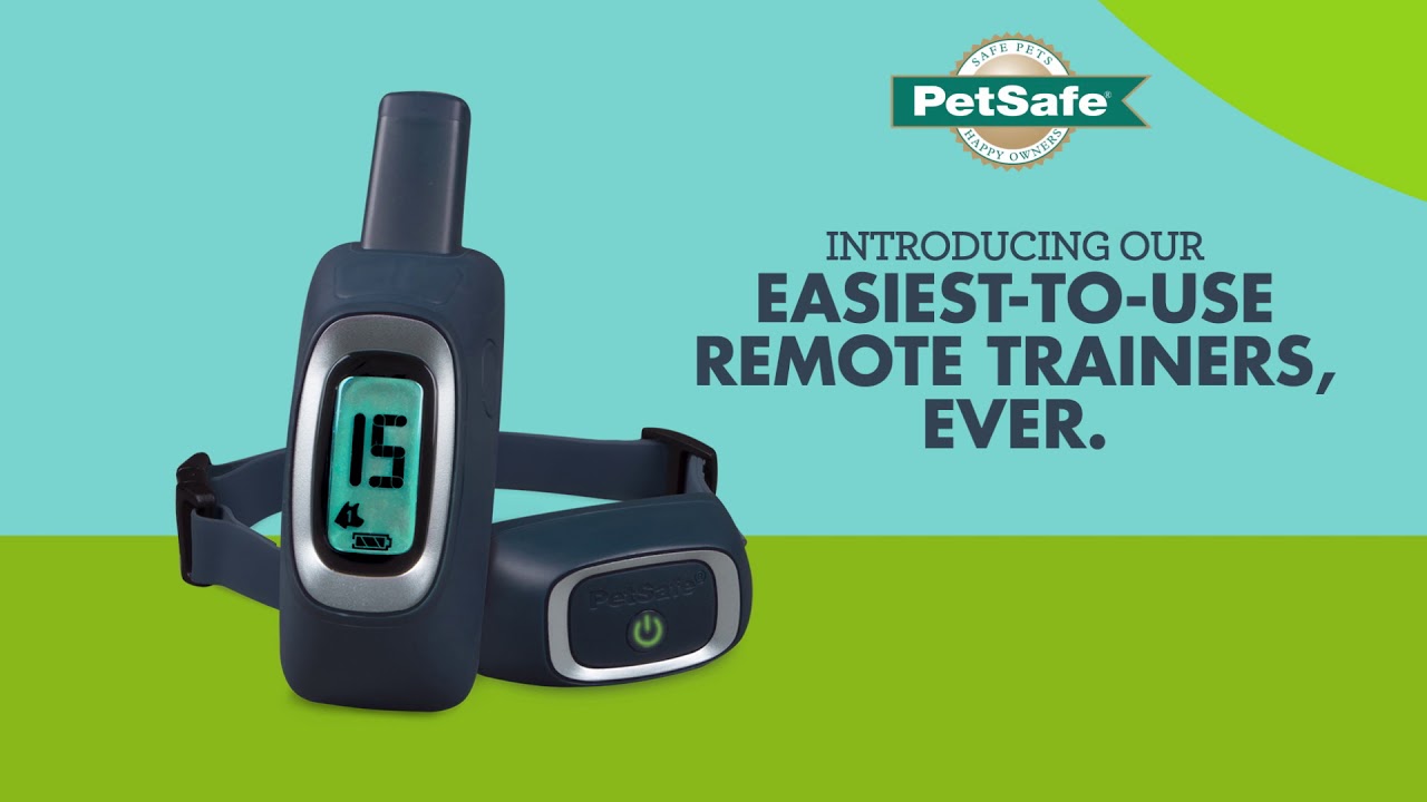 The Easiest-to-Use Dog Training Tool, Ever