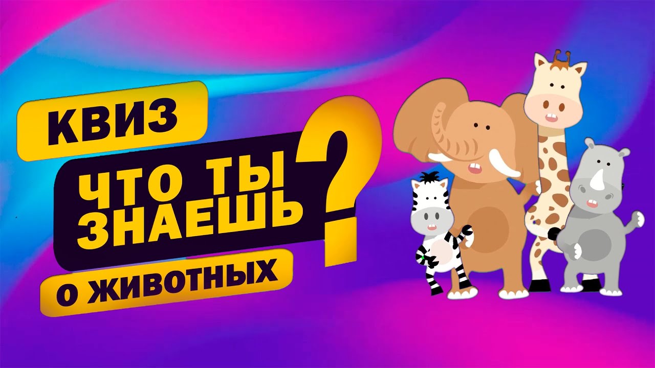Детский Квиз про животных // Детская викторина