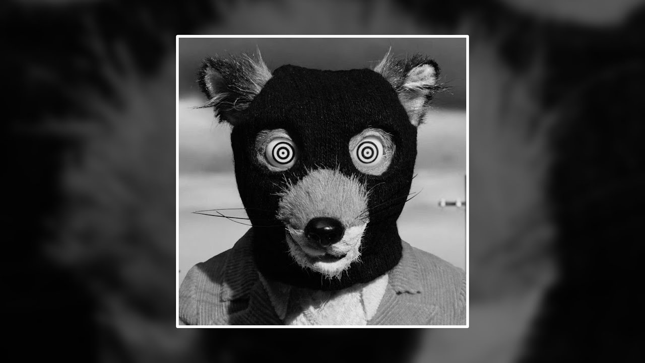 [ROYALTY FREE] WESTSIDE GUNN SAMPLE PACK 🦈 (GRISELDA, ALCHEMIST, 90'S SAMPLE, VINTAGE)