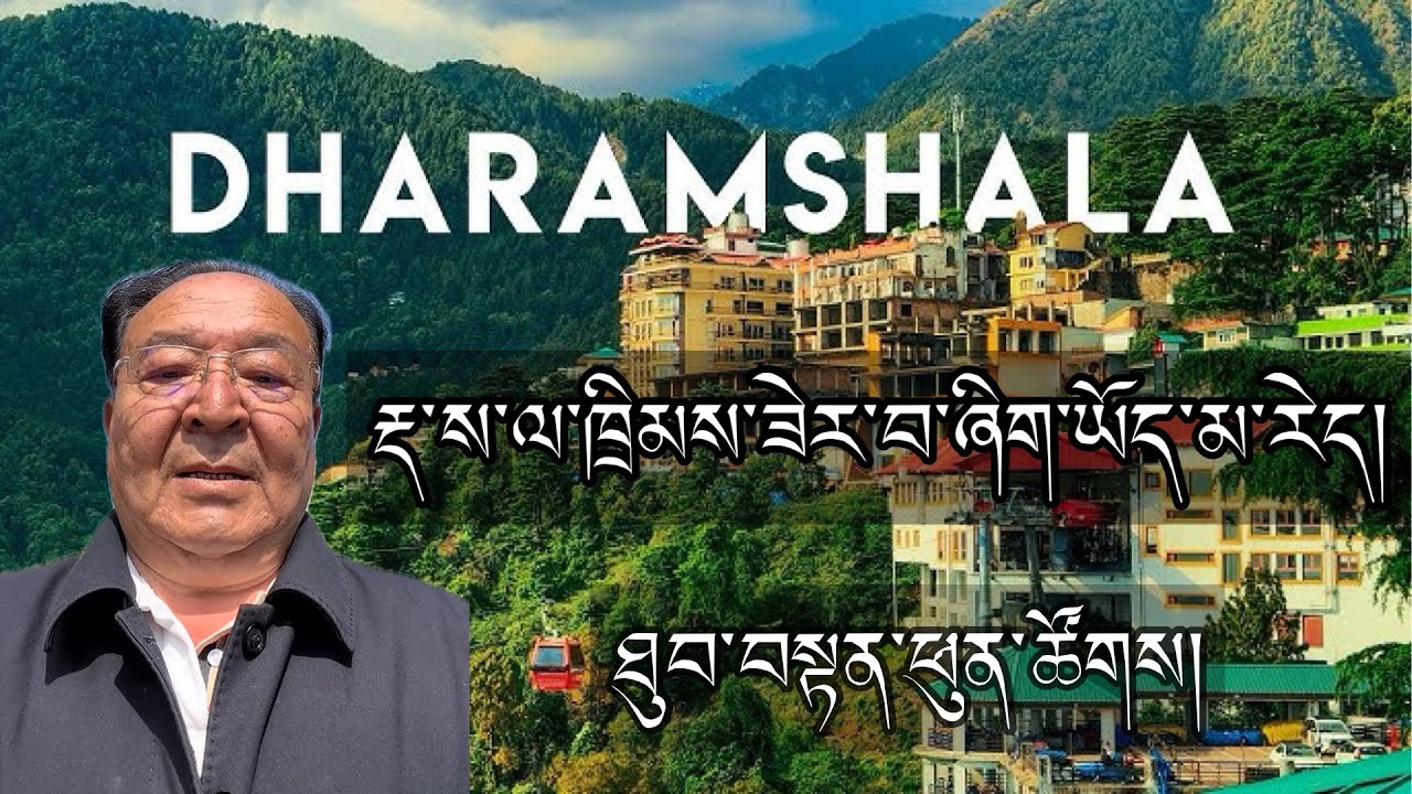རྡ་རམ་ས་ལ་ཁྲིམས་ཟེར་བ་ཞིག་ཡོད་མ་རེད་ཟེར།|ཐུབ་བསྟན་ཕུན་ཚོགས།|བོང་རྫི།|#tibetanvlogger #viralvideo 