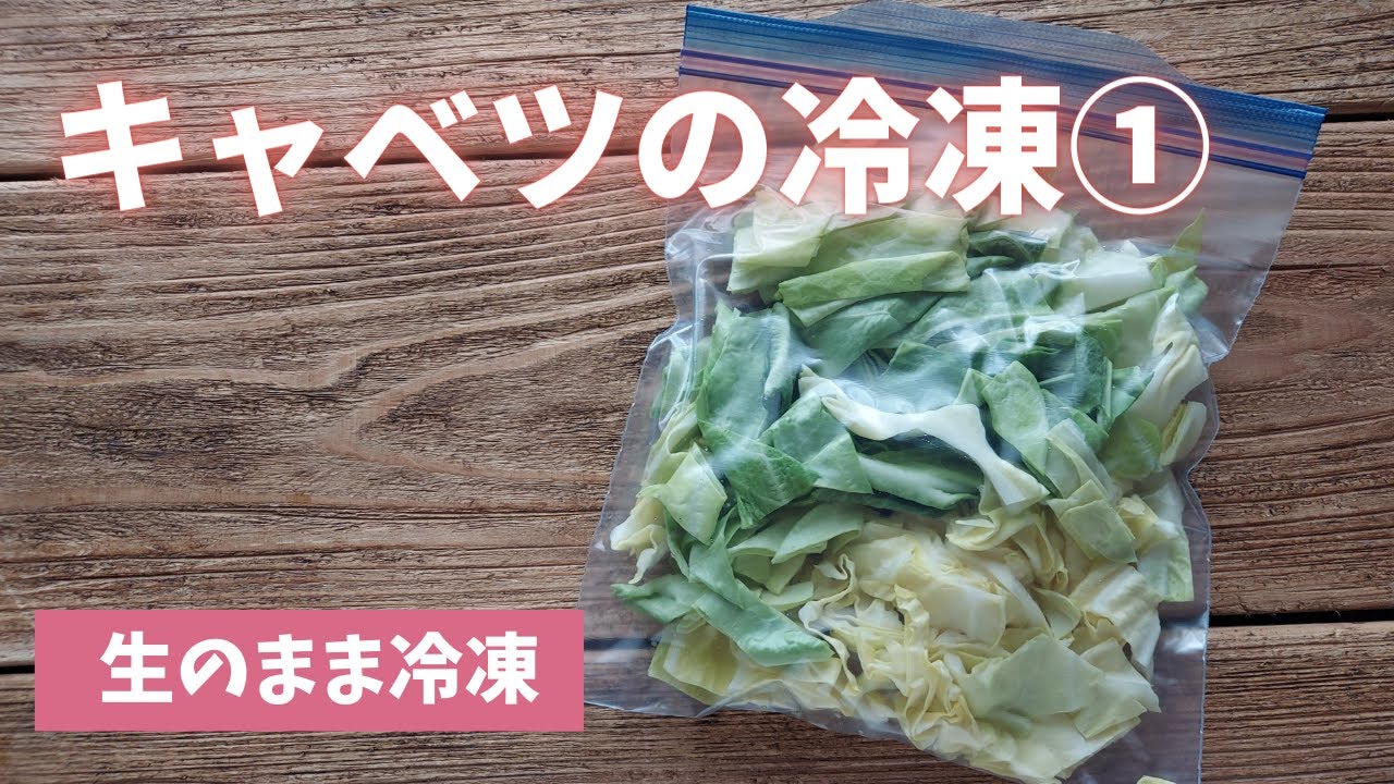 【キャベツの冷凍保存】生のまま冷凍ができる便利な野菜です(^^♪