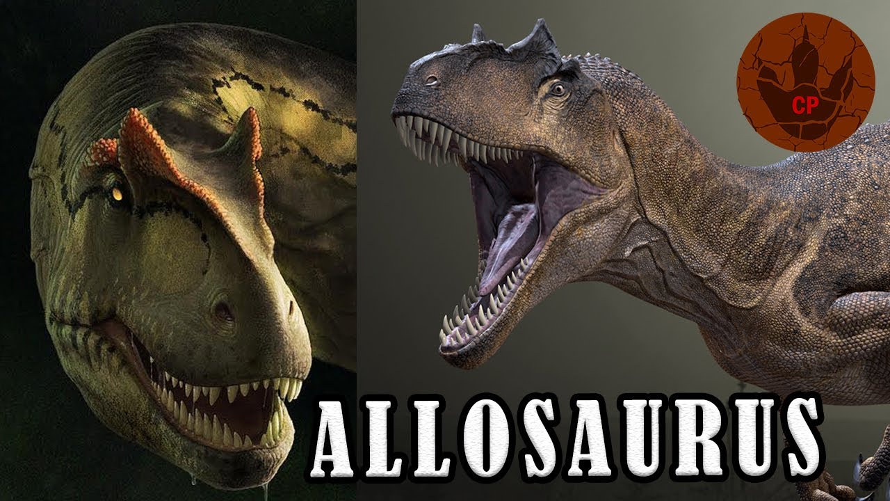 ALLOSAURUS El León Del Jurásico (A. fragilis, A. europaeus, A. jimmadseni)