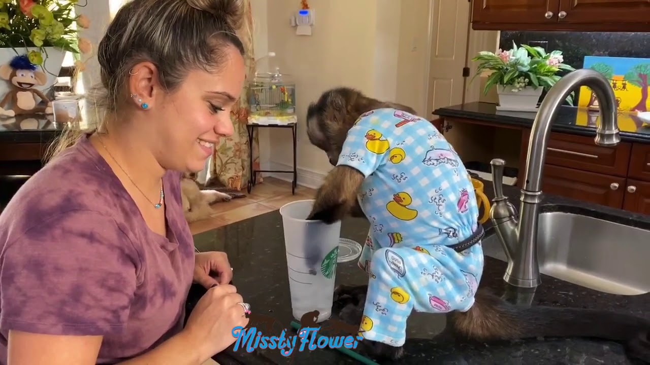 Monkey Russel and crazy sissy, another episode for those of you that love to see them together ❤️😂