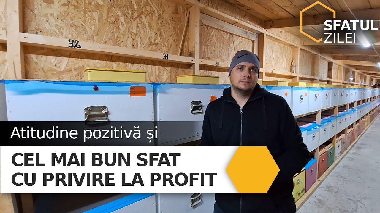 ATITUDINE POZITIVĂ ȘI CEL MAI BUN SFAT CU PRIVIRE LA PROFIT
