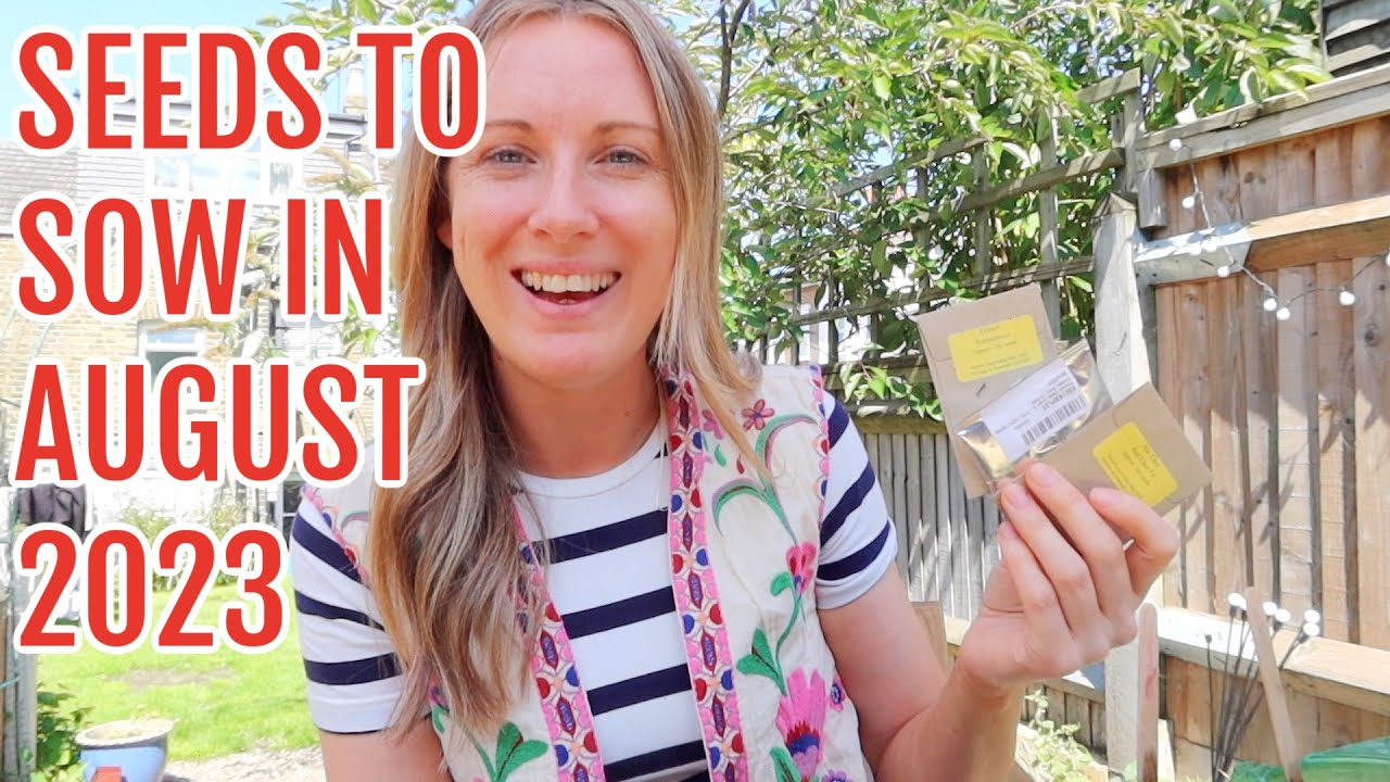 SEEDS TO SOW FOR YOUR ALLOTMENT IN AUGUST 2023 / ALLOTMENT GARDENING FOR BEGINNERS