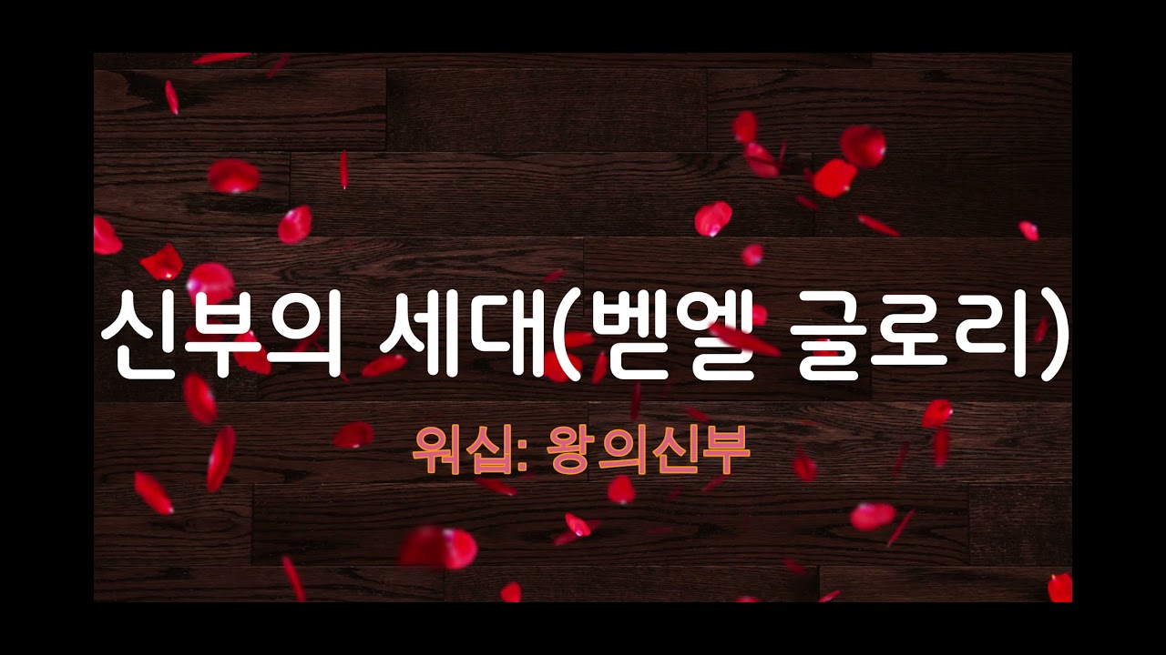 신부의세대 8번 반복 1시간 연속 듣기