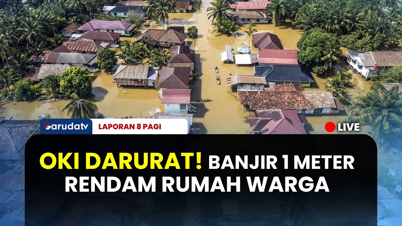 DETIK-DETIK BANJIR BESAR RENDAM OKI & OKU TIMUR: Ribuan Hektar Sawah Terancam Gagal Panen!