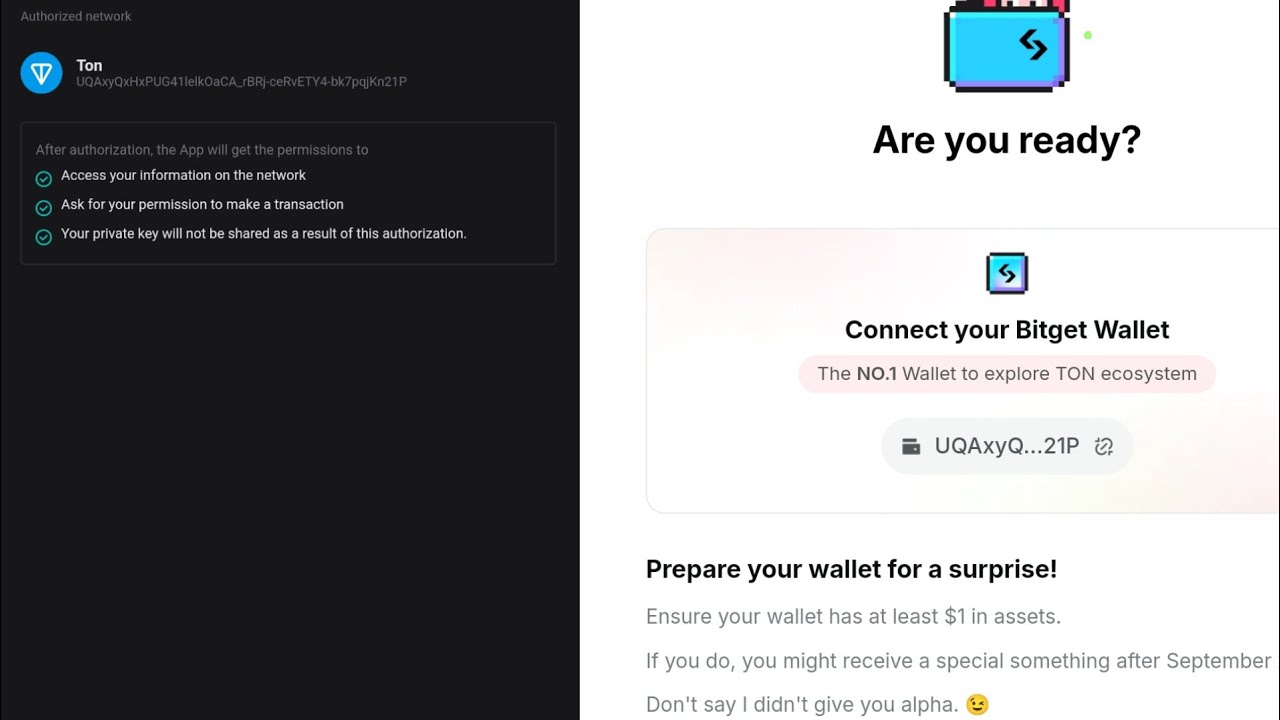 HOW TO CONNECT YOUR TOMARKET TO BITGET WALLET