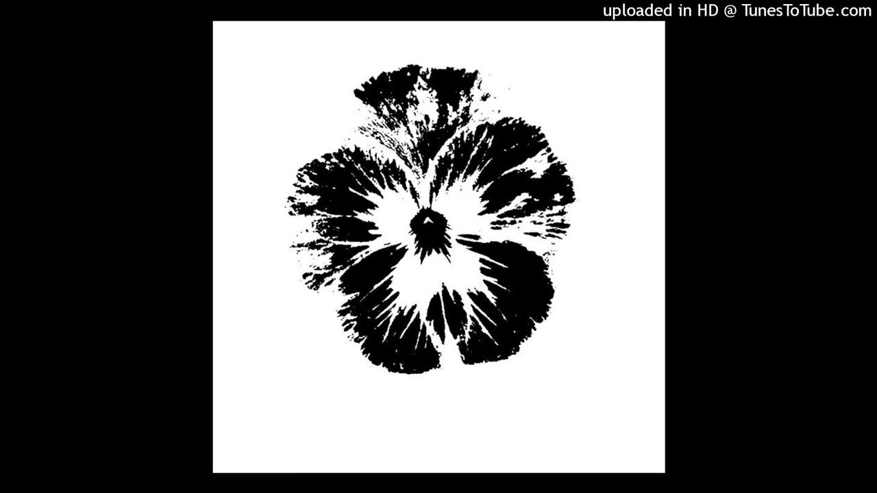 ginseng + love&peace + misogi + pinknoise type beat ~ ⭑nF#!ᵎᵎFf٠### ࣪⭑F$$$𖤐$s$$s⭑